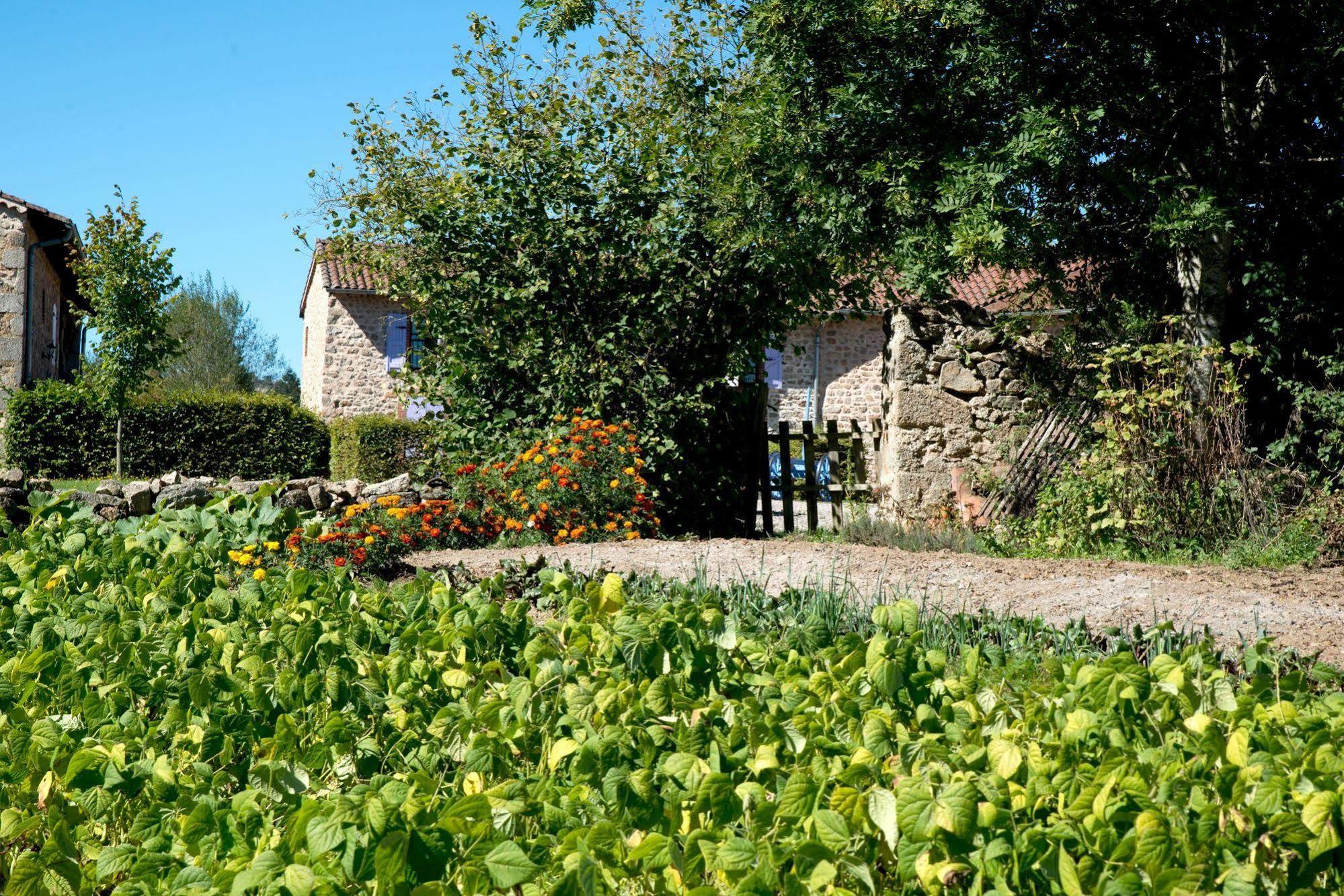 Domaine De La Plagnette Les Salles Exterior foto